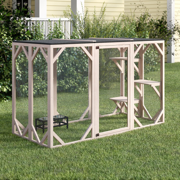 Portable catio shop